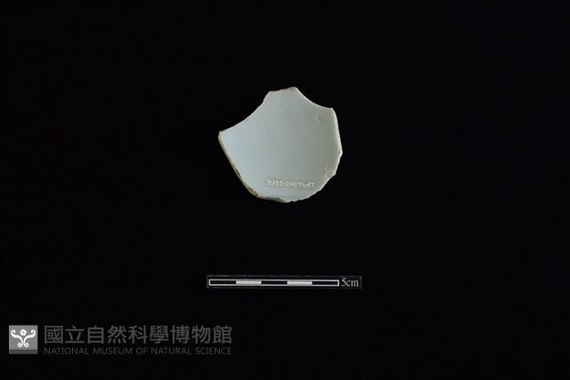 瓷片藏品圖，第2張