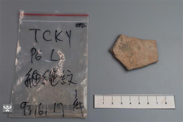 陶片藏品圖，第2張