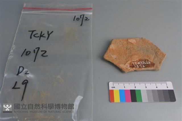 陶片藏品圖，第2張