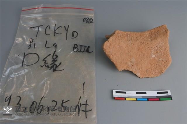 陶片藏品圖，第2張