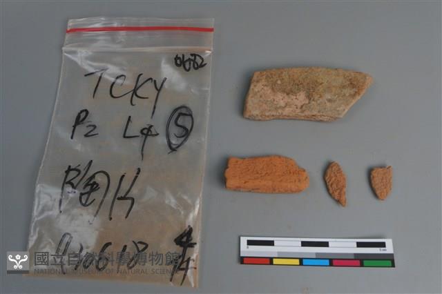 陶片藏品圖，第2張