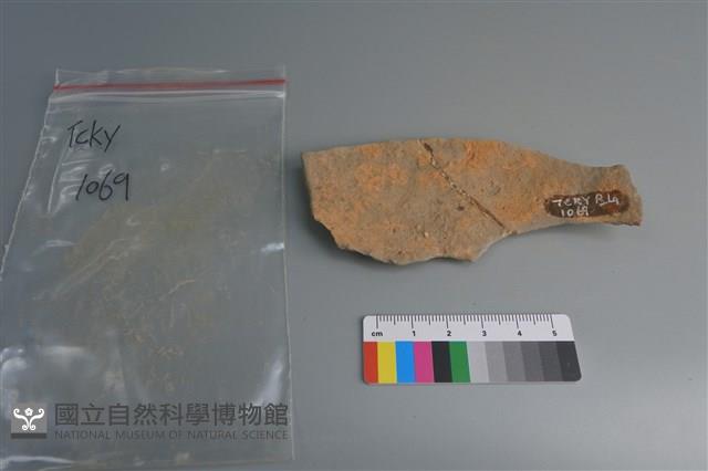 陶片藏品圖，第2張