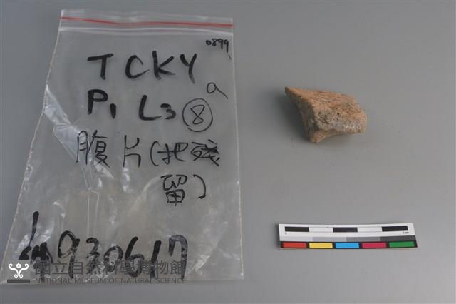 陶片藏品圖，第2張