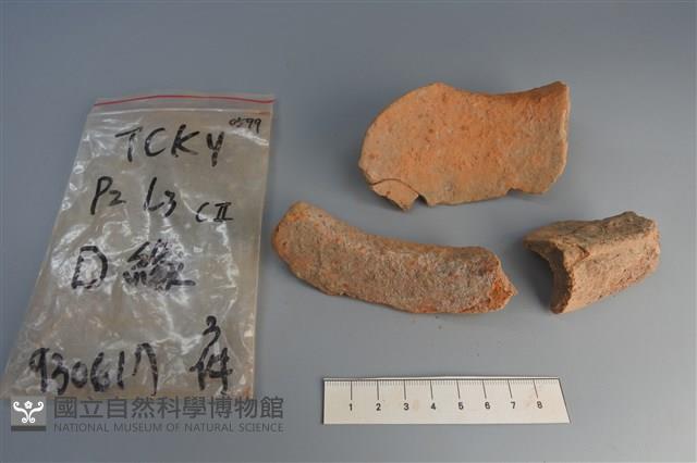 陶片藏品圖，第2張