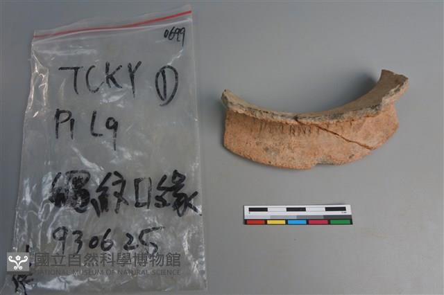 陶片藏品圖，第2張