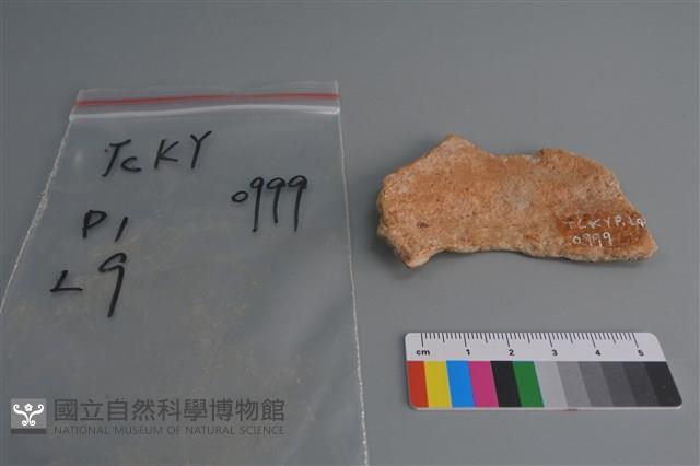 陶片藏品圖，第2張