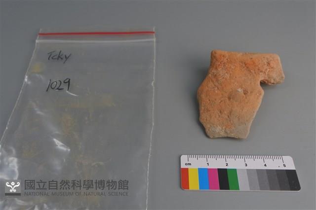 陶片藏品圖，第2張