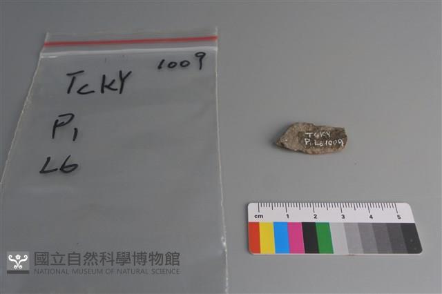 陶片藏品圖，第2張