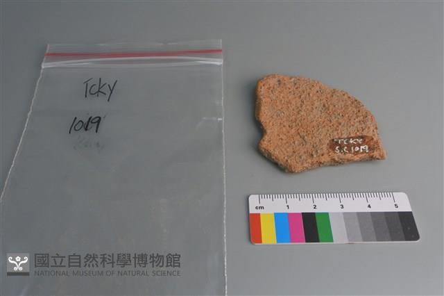 陶片藏品圖，第2張