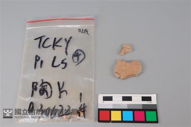 陶片藏品圖，第2張