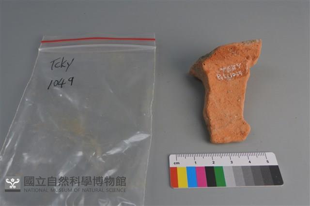 陶片藏品圖，第2張