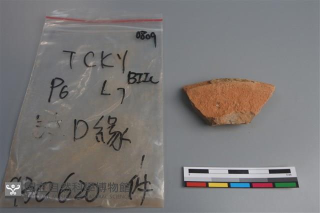 陶片藏品圖，第2張