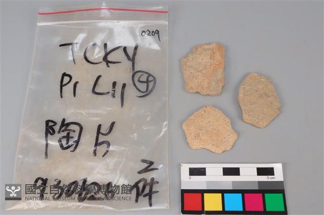 陶片藏品圖，第2張