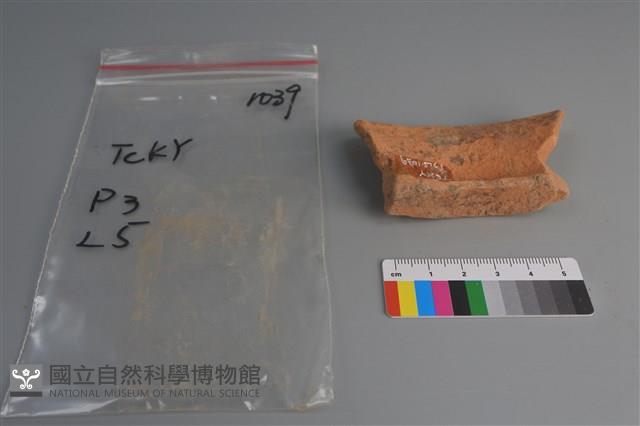 陶片藏品圖，第2張