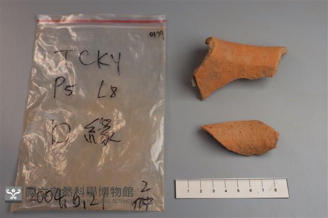 陶片藏品圖，第2張
