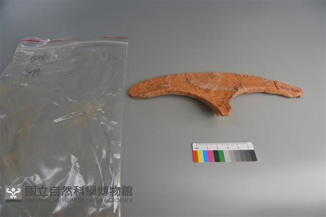 連杯形器藏品圖，第2張