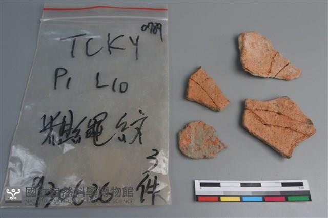 陶片藏品圖，第2張