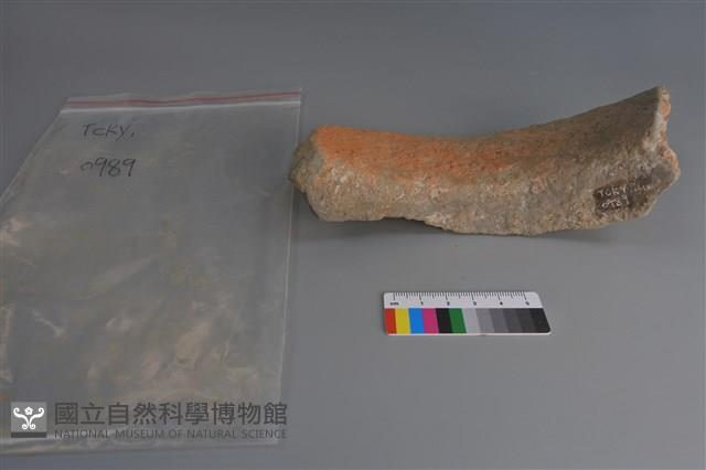 陶片藏品圖，第2張