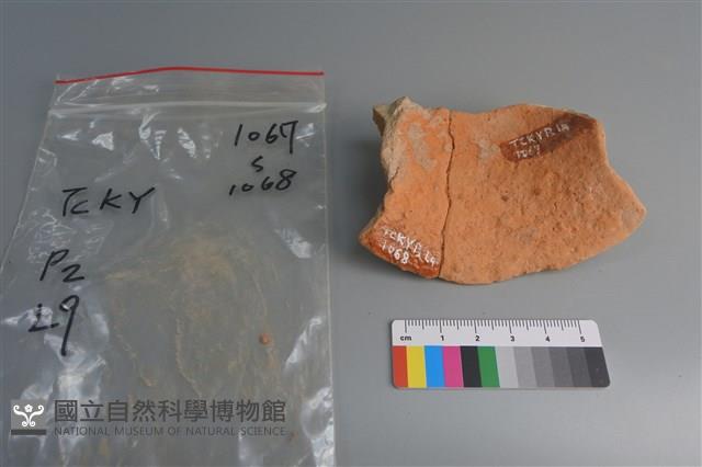 陶片藏品圖，第2張