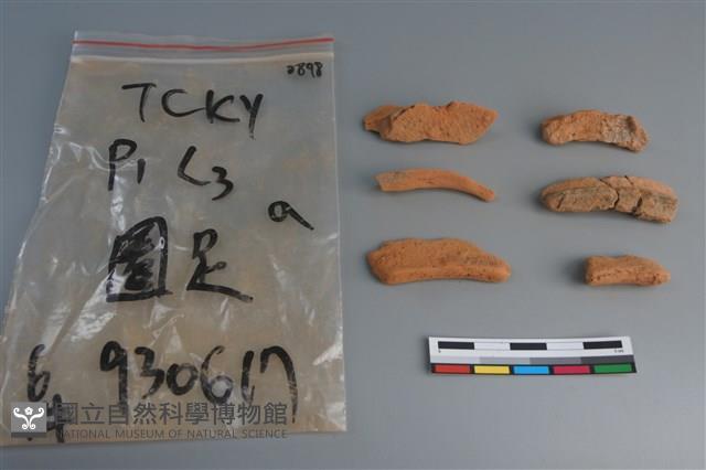 陶片藏品圖，第2張