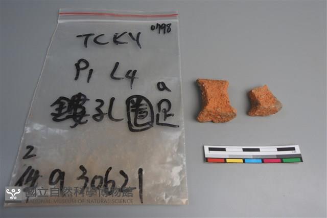 陶片藏品圖，第2張