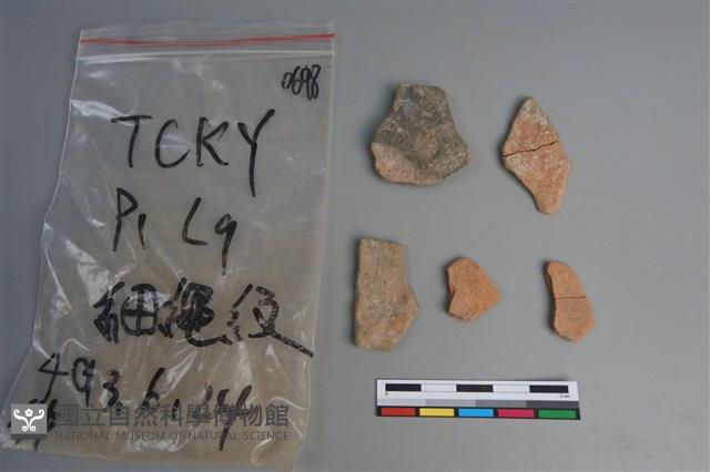 陶片藏品圖，第2張