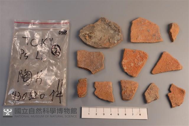陶片藏品圖，第2張