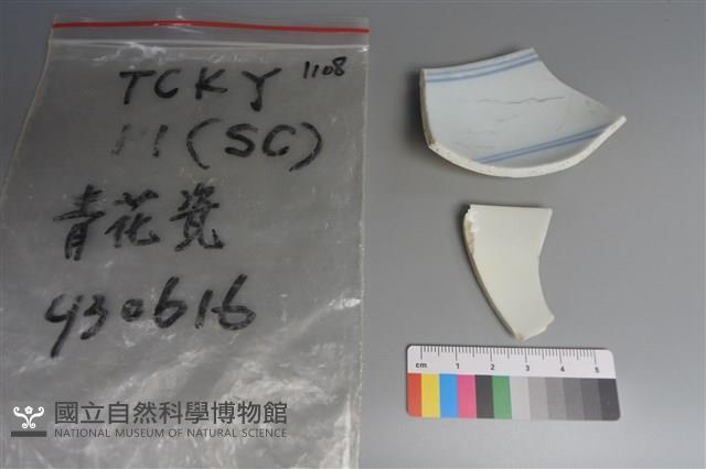 瓷片藏品圖，第2張