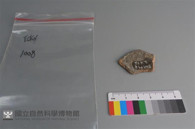 陶片藏品圖，第2張