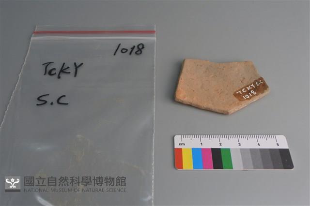 陶片藏品圖，第2張