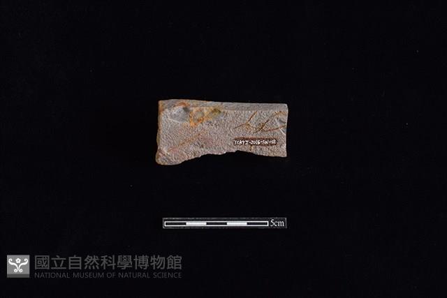 硬陶片藏品圖，第2張