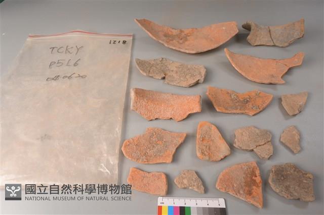 陶片藏品圖，第2張