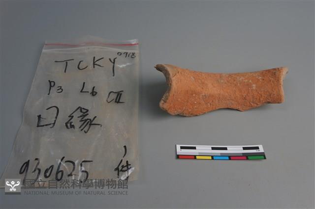 陶片藏品圖，第2張