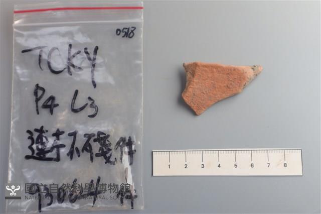 連杯形器藏品圖，第2張