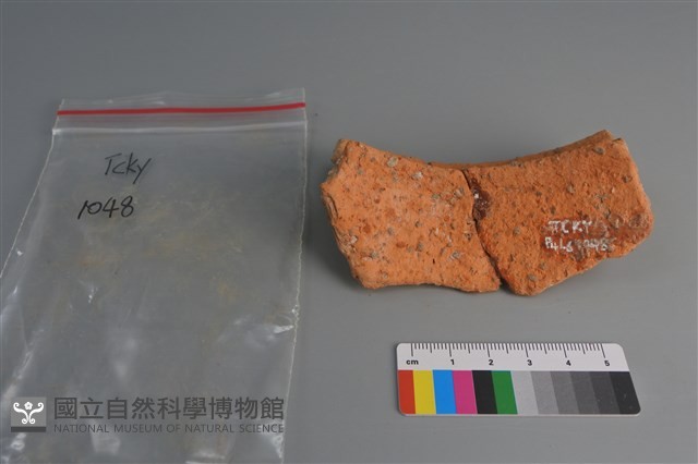 陶片藏品圖，第2張