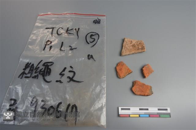 陶片藏品圖，第2張