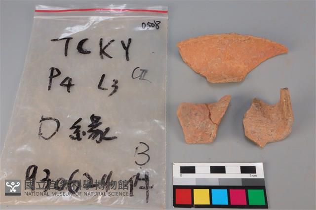 陶片藏品圖，第2張