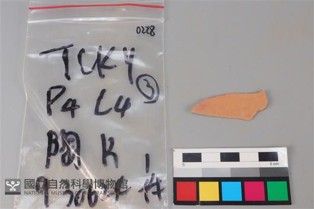 陶片藏品圖，第2張