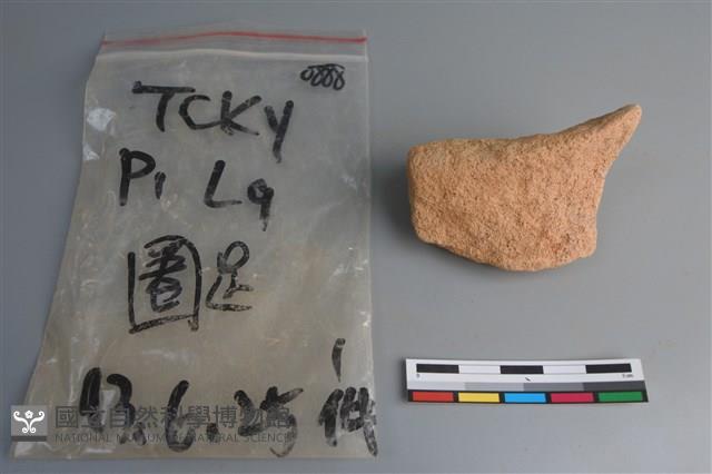 陶片藏品圖，第2張