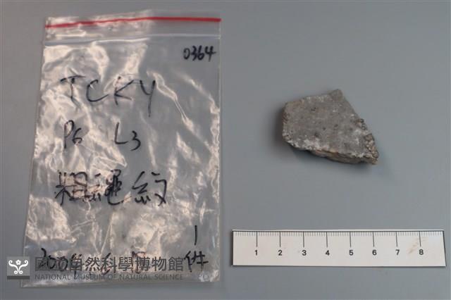 陶片藏品圖，第2張