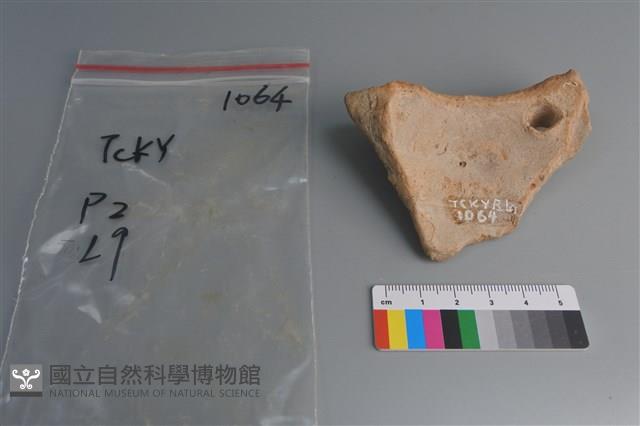 陶片藏品圖，第2張