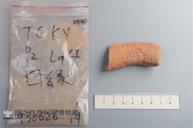 陶片藏品圖，第2張