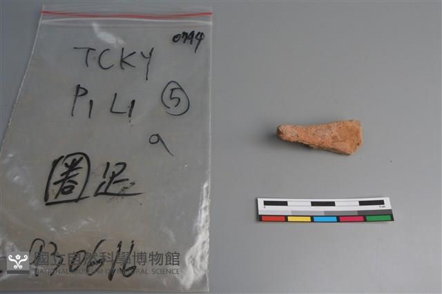 陶片藏品圖，第2張