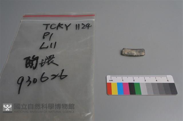 陶環藏品圖，第2張