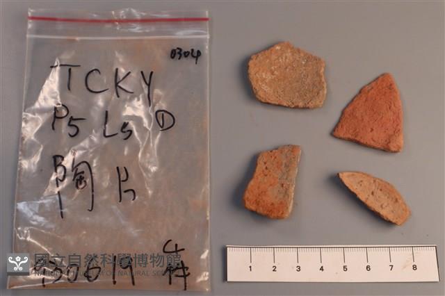 陶片藏品圖，第2張