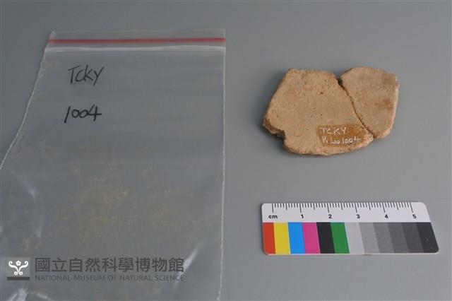 陶片藏品圖，第2張