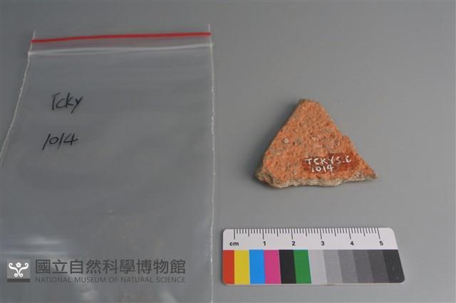 陶片藏品圖，第2張