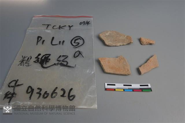 陶片藏品圖，第2張