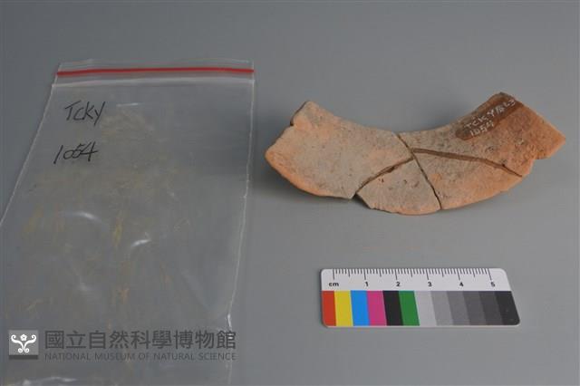 陶片藏品圖，第2張