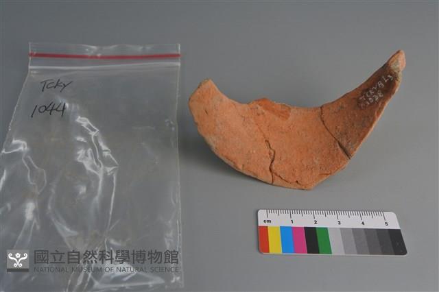 陶片藏品圖，第2張